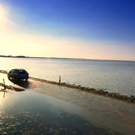 Pour 10 Avec Piscine Et Jardin Feriehus